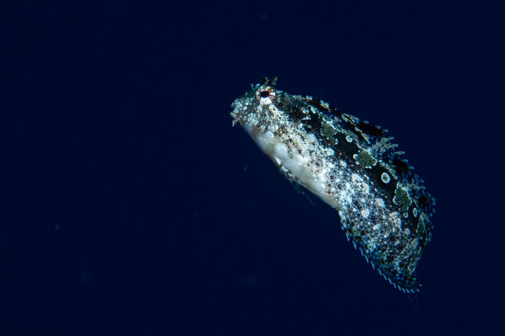 Photograph by Amr Kadry