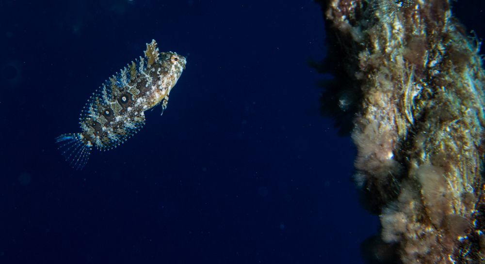 Photograph by Amr Kadry