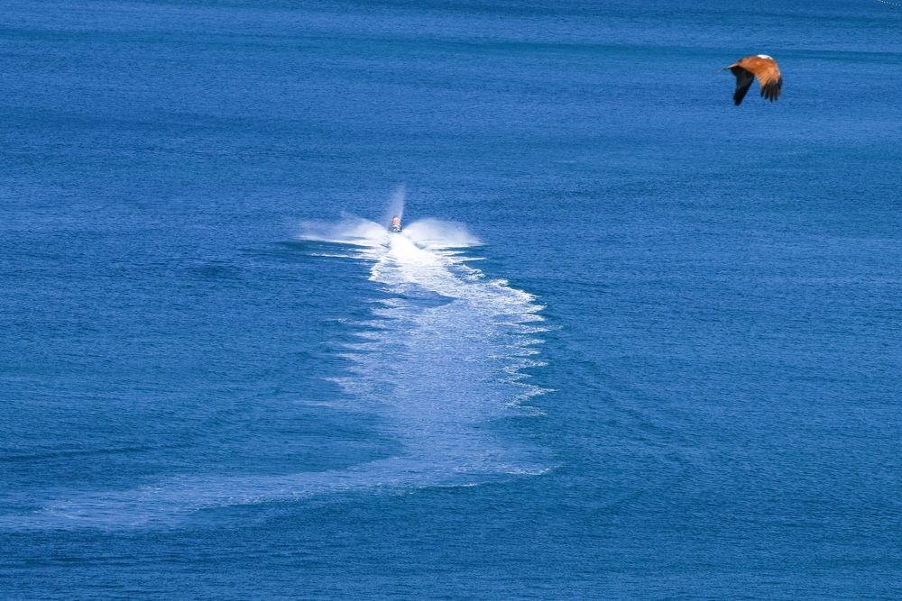 Photograph by Владимир Орлов