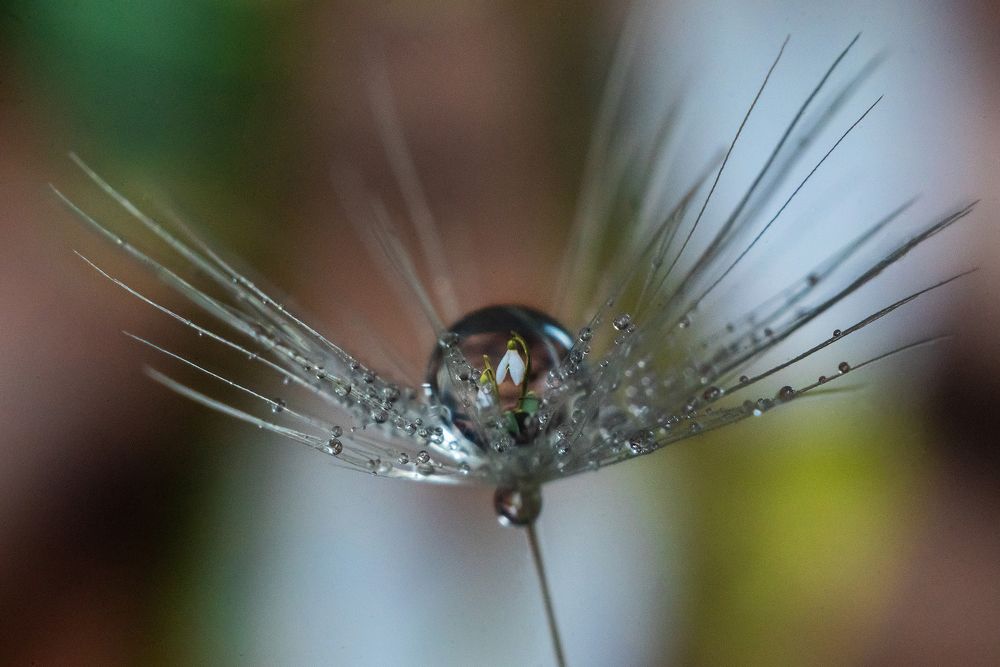 Photograph by Тата Бакбак