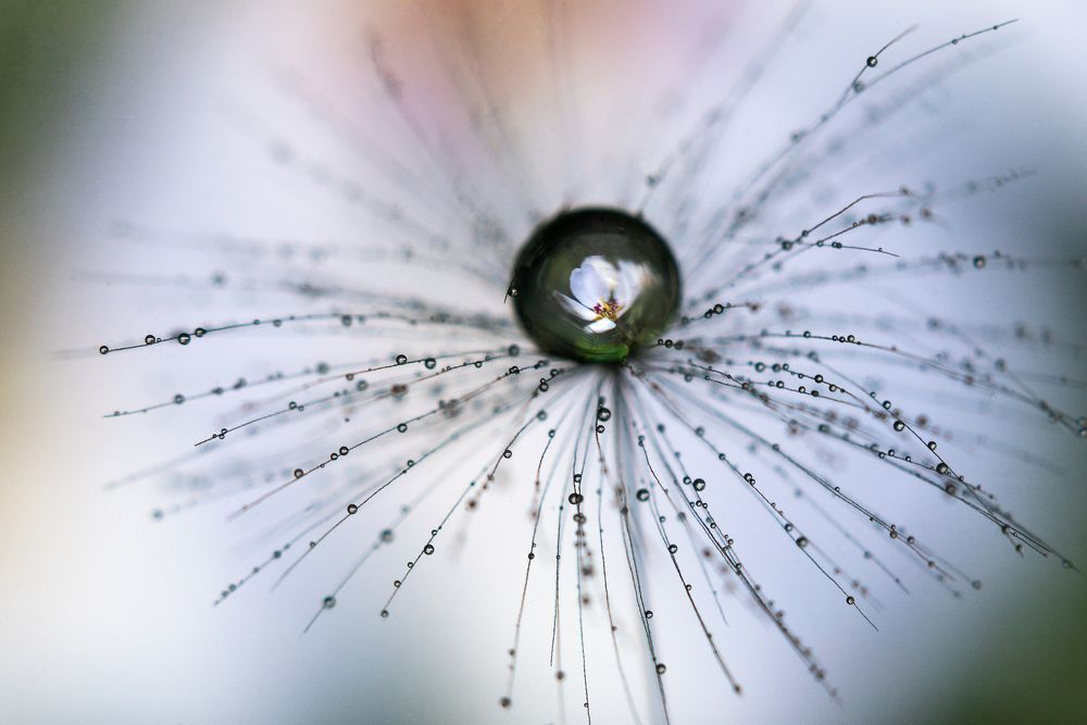 Photograph by Тата Бакбак