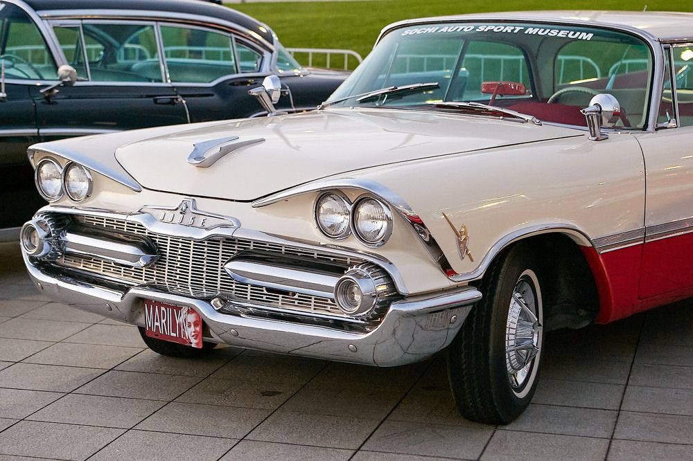 Фотография автора Totoro D