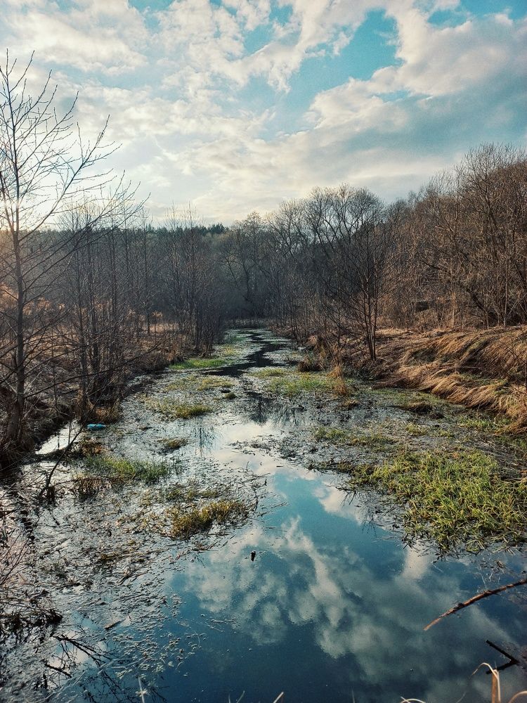 Photograph by Екатерина Петрович