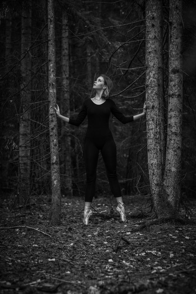 Photograph by Арсен Алабердов