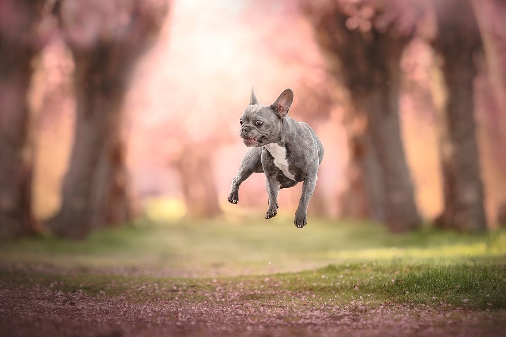 Photograph by Laura Quintanel