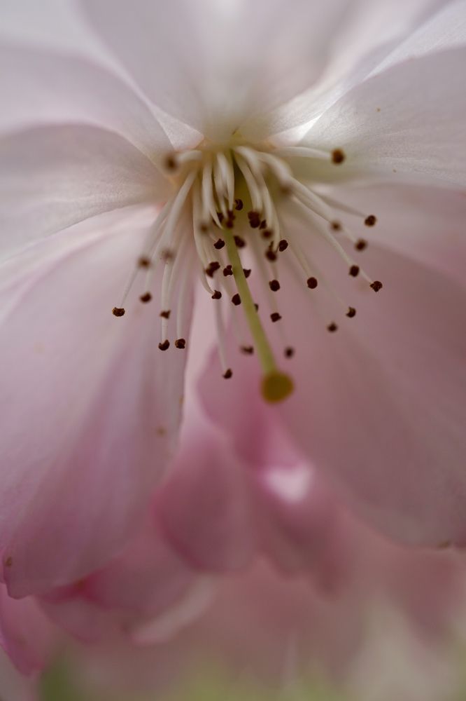 Фотография автора Liudmila Kiermeier