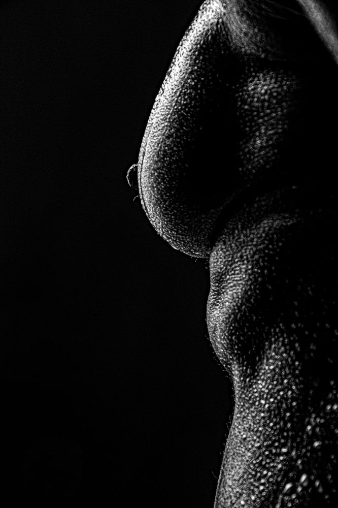 Photograph by Хайан Диб