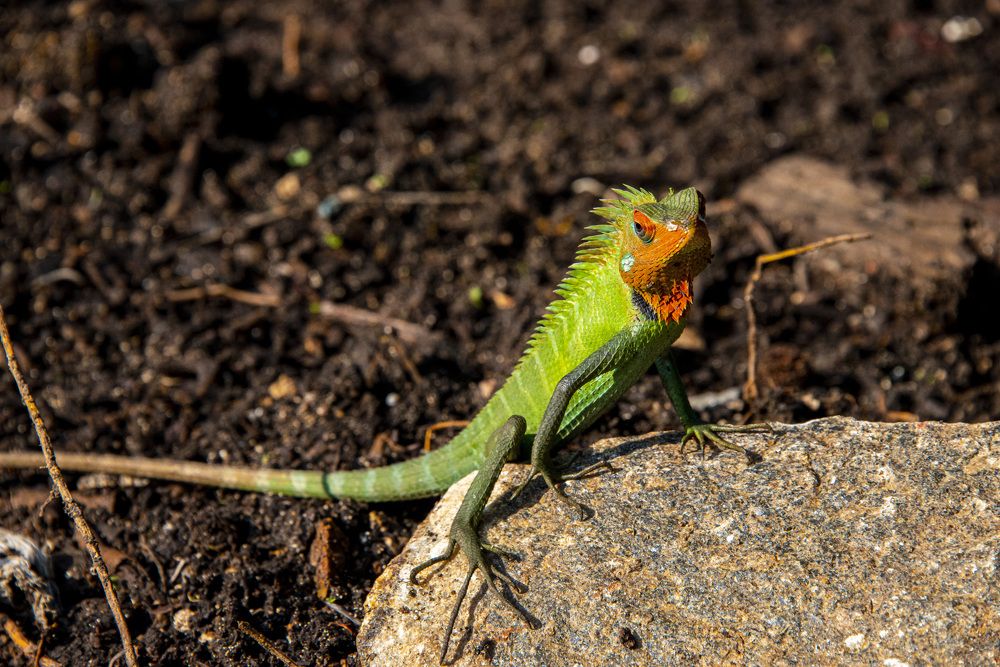 Photograph by Дмитрий Юдин