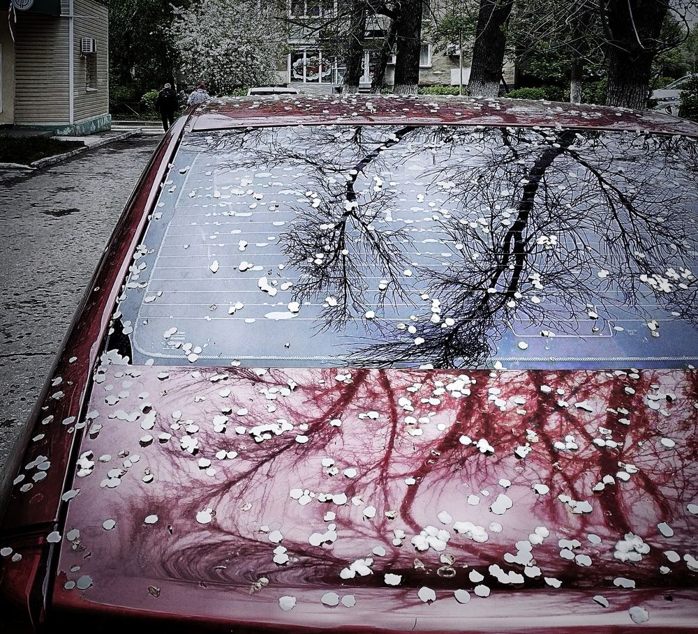 Photograph by Ольга Мартьянова