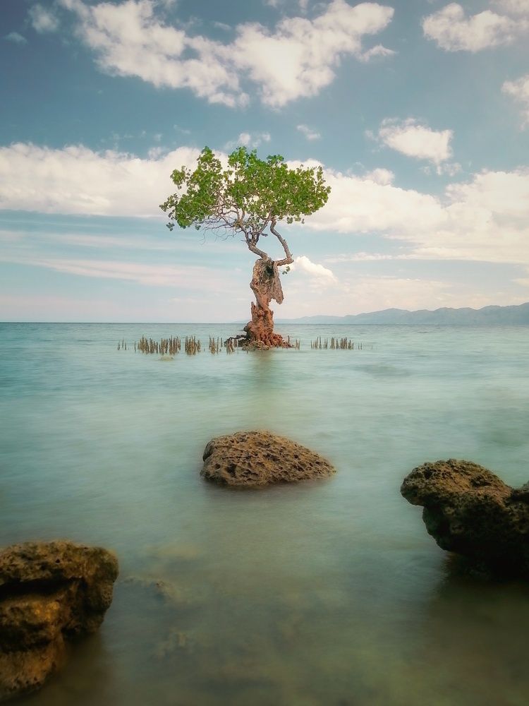 Photograph by Danny Boy Basaya