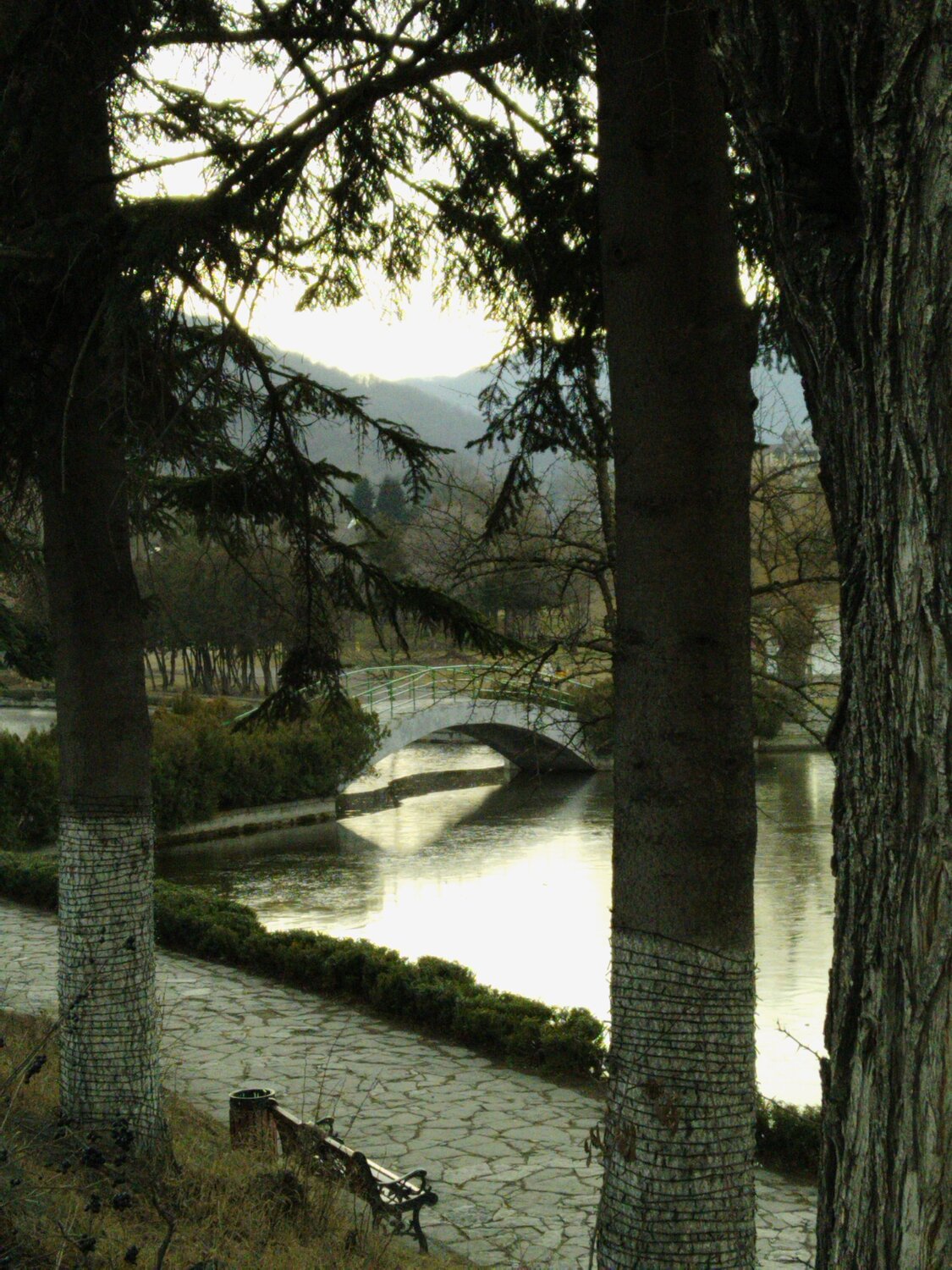 Photo #10499494