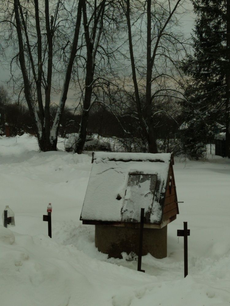 Photo #10499497