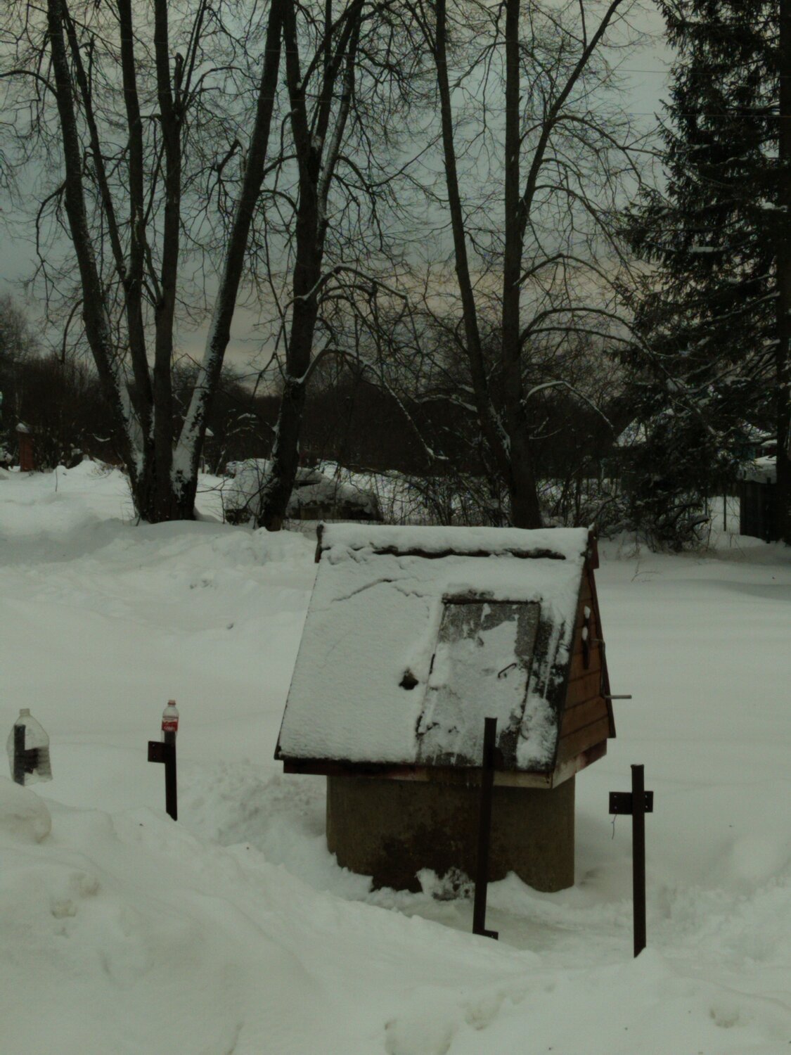 Photo #10499497