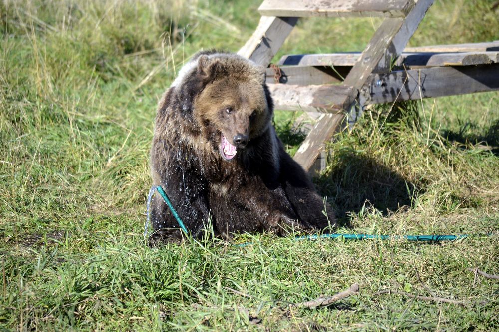 Photograph by Дмитрий Дулин