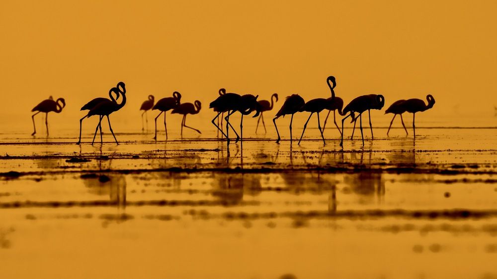 Photograph by Muralitharan M