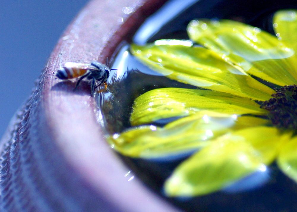 Photograph by MAHMOOD AKBAR