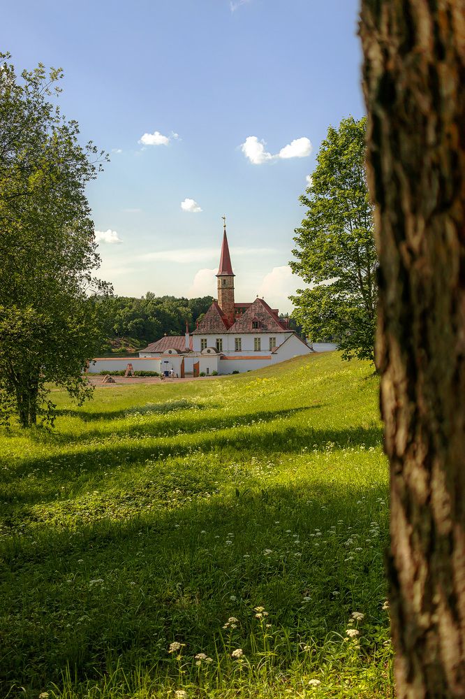 Photograph by Анастасия Белякова