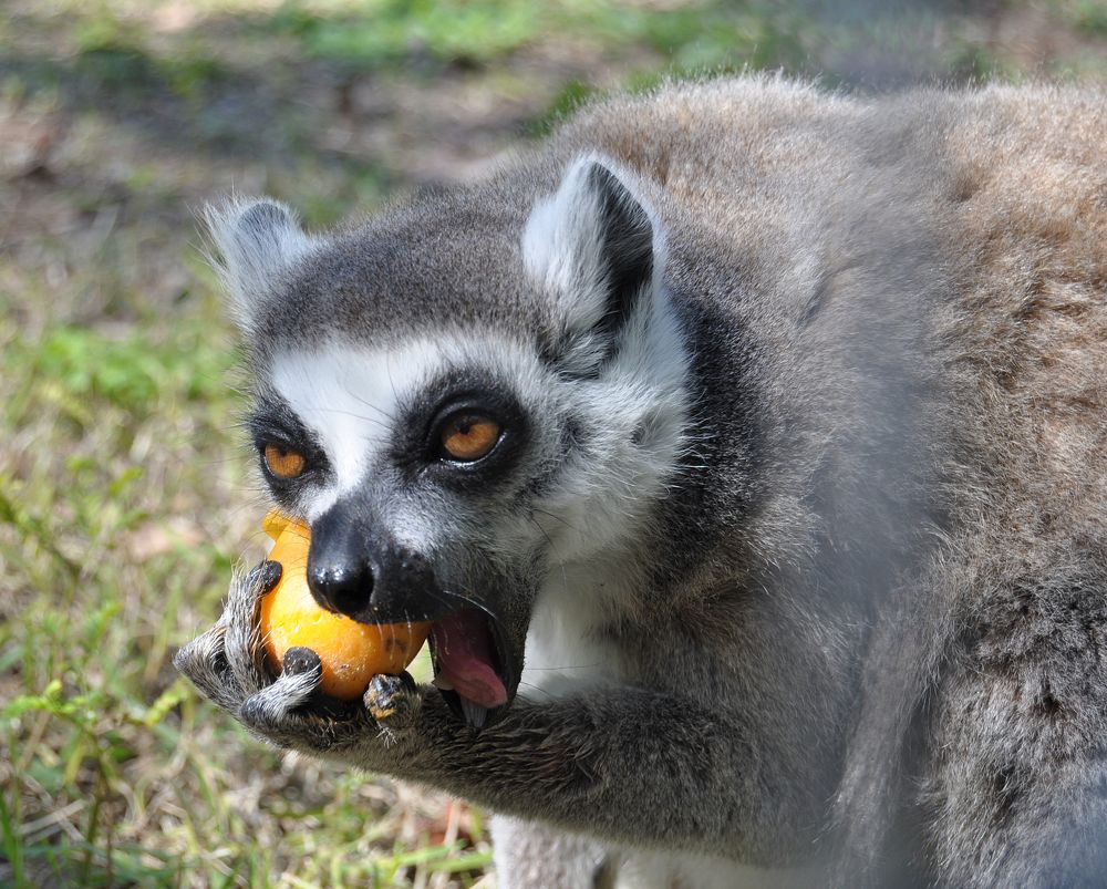 Photograph by Яков