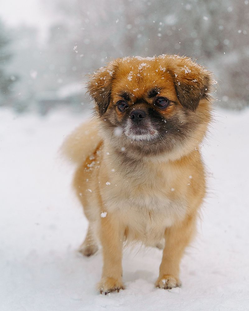 Photograph by Anna Sindikayeva