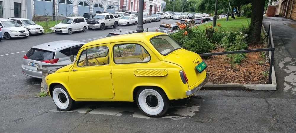 Фотография автора Марина Карасева