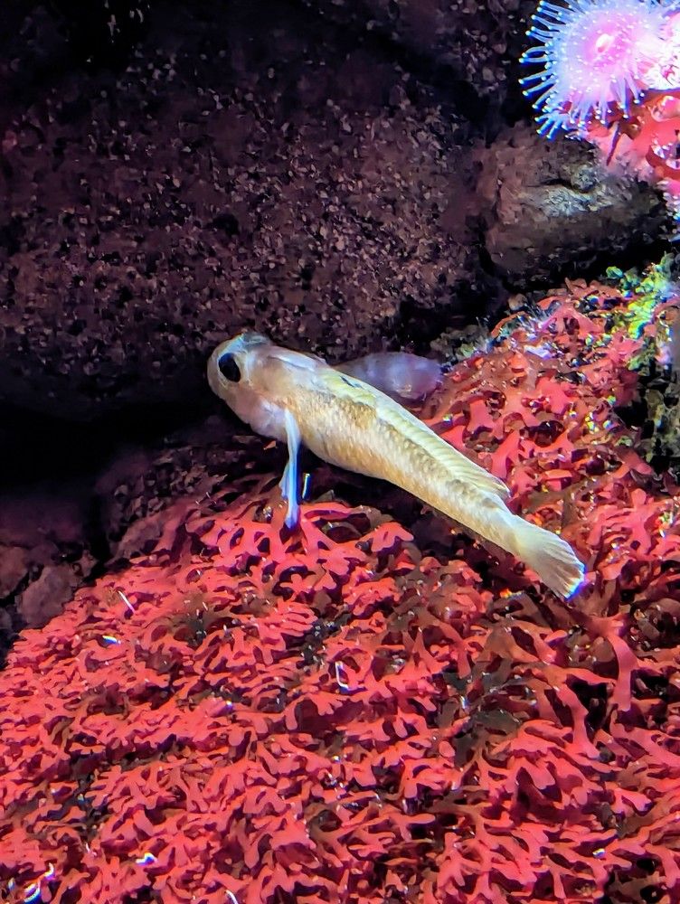 Фотография автора Rafaela Gomes