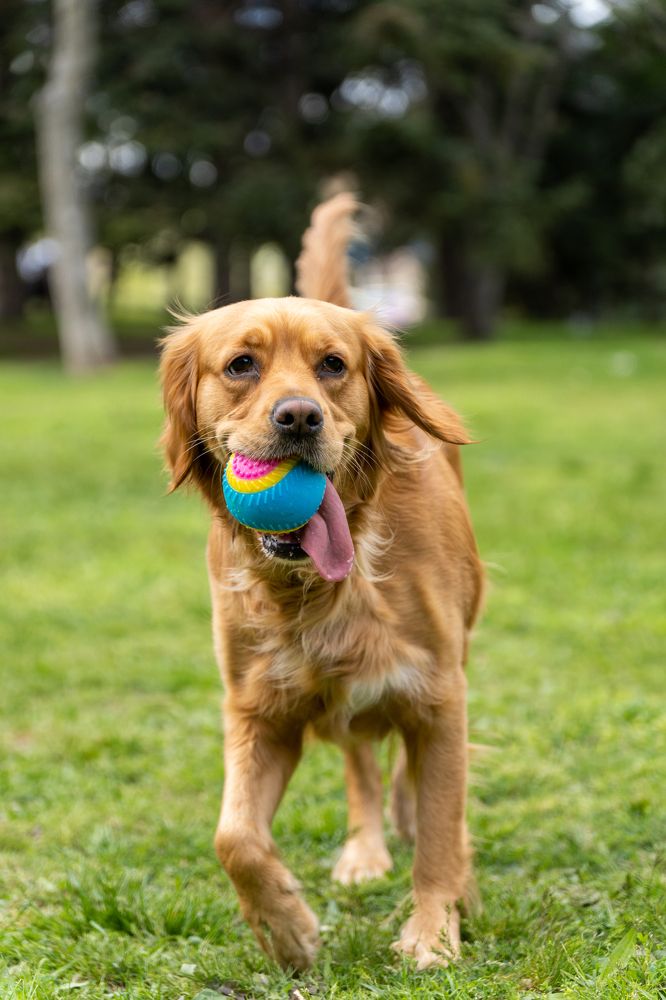 Photograph by Mariela Georgieva