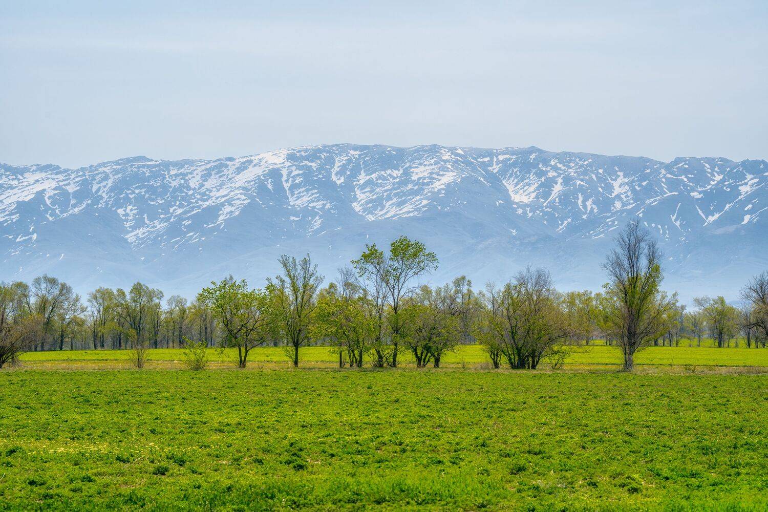 Фотография #10499900