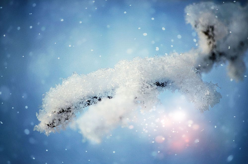 Photograph by Соколова Елена