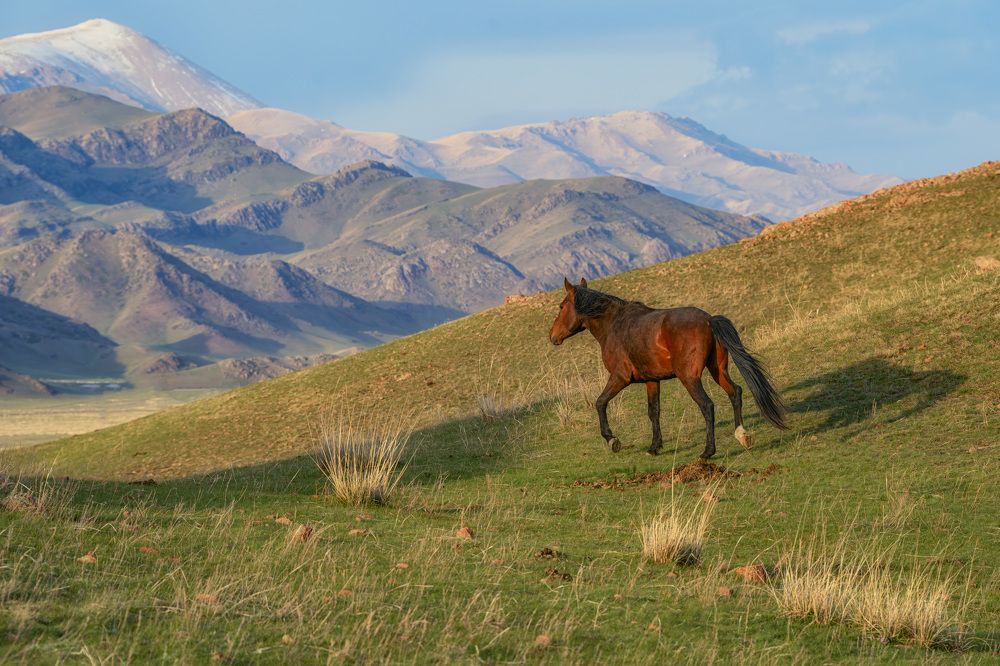 Photograph by Лазарев Сергей