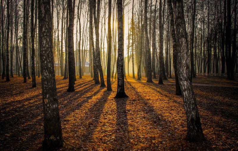 Ekaterina Skripnichenko, Russia