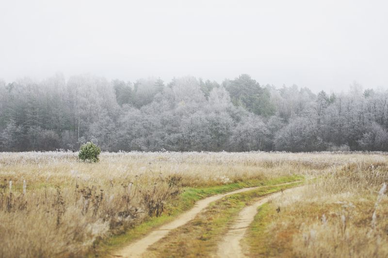 Диана Цуркан, Russia