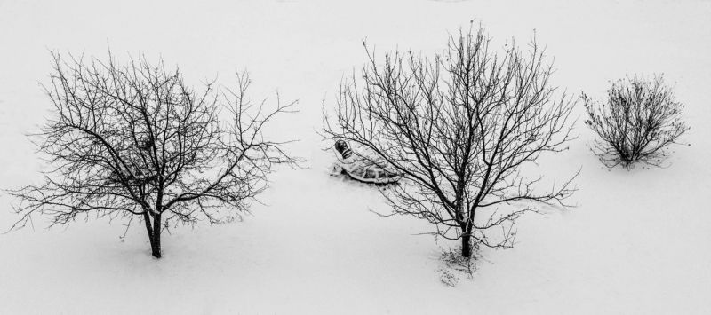 Дмитрий, Russia