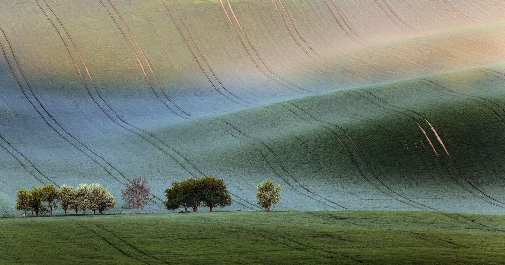 Бархатное одеяло.