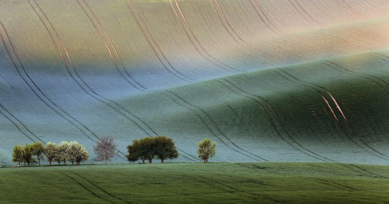 Vinogradov Igor, Ukraine