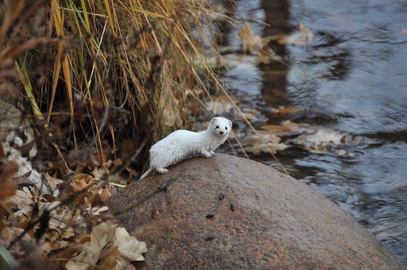 Olga Baturova, Russia