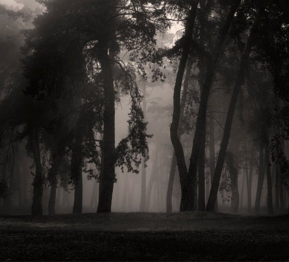 В осеннем лесу