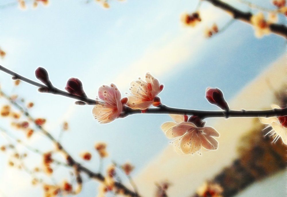 Волшебство природы