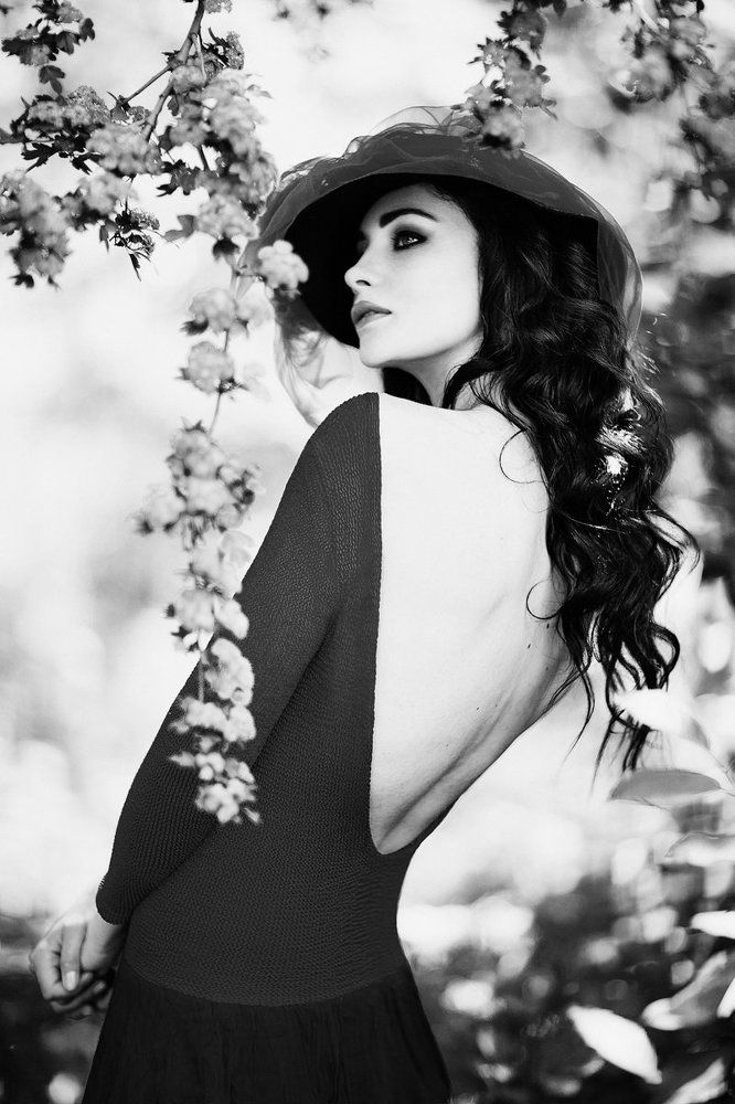 Lady