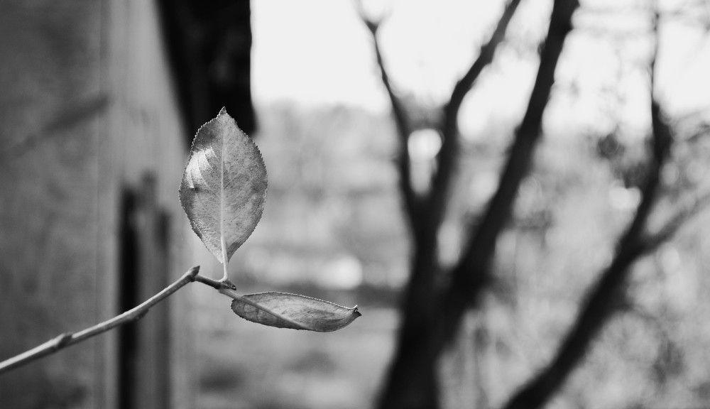 Photograph by Владимир