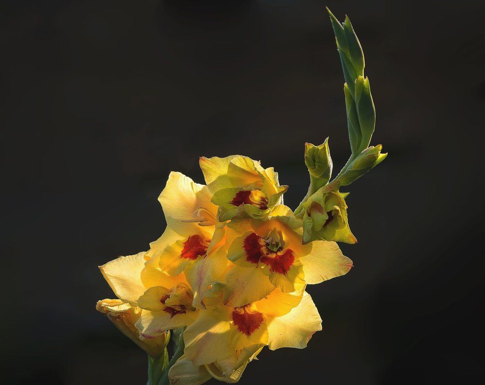 Примите от души