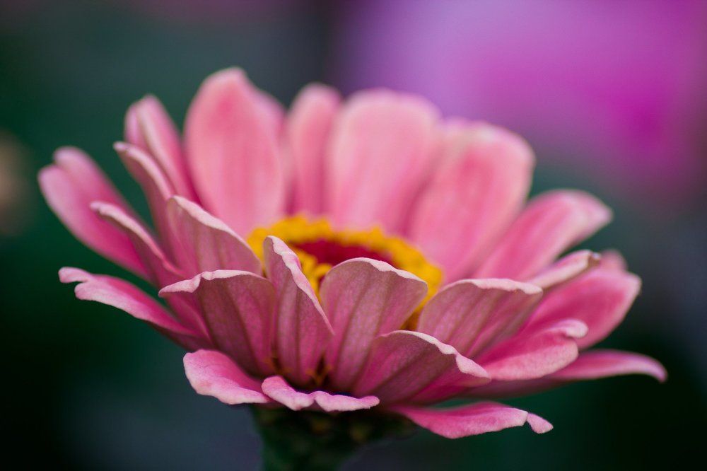 Photograph by Мария