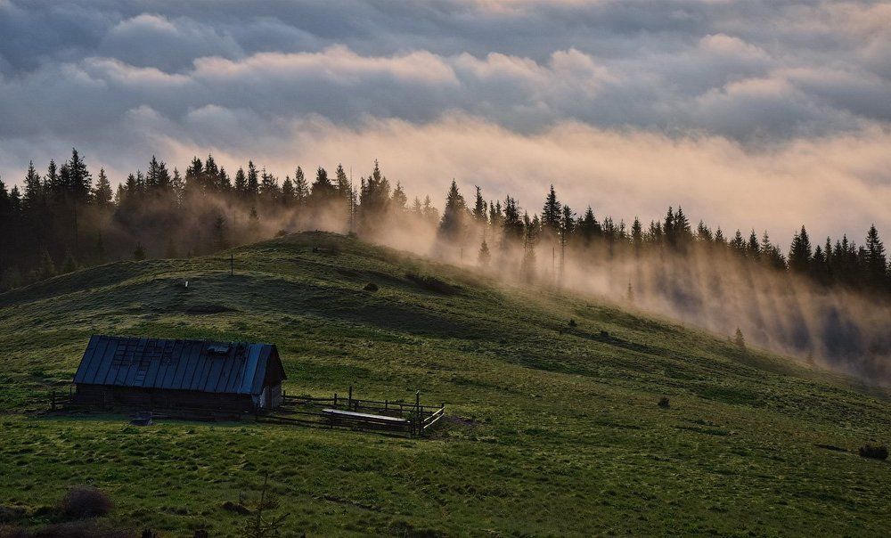 Morning in Carpathians