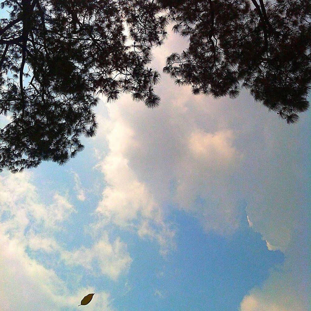 Photograph by Sumi Maharjan