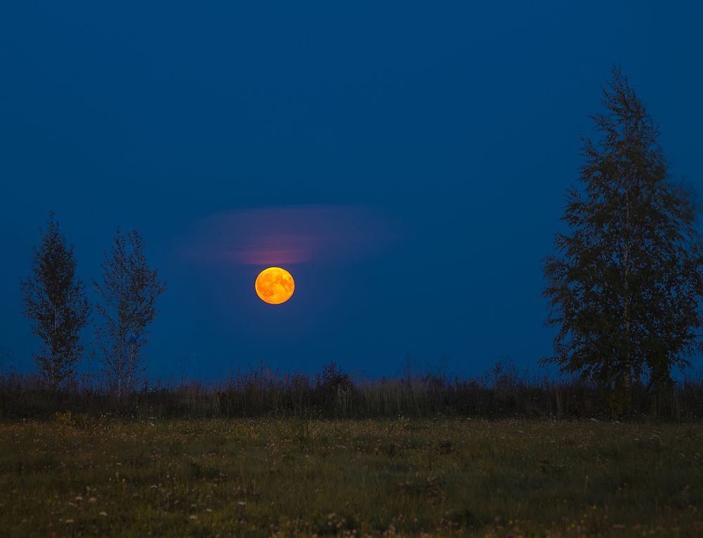 Скоро будет ночка лунная