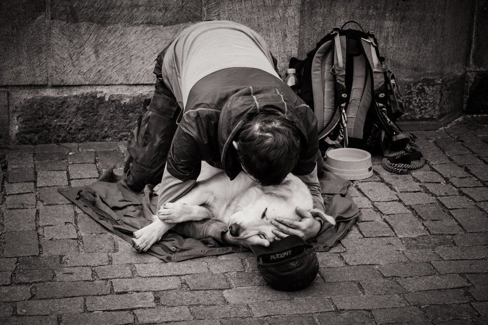 Лучшие друзья