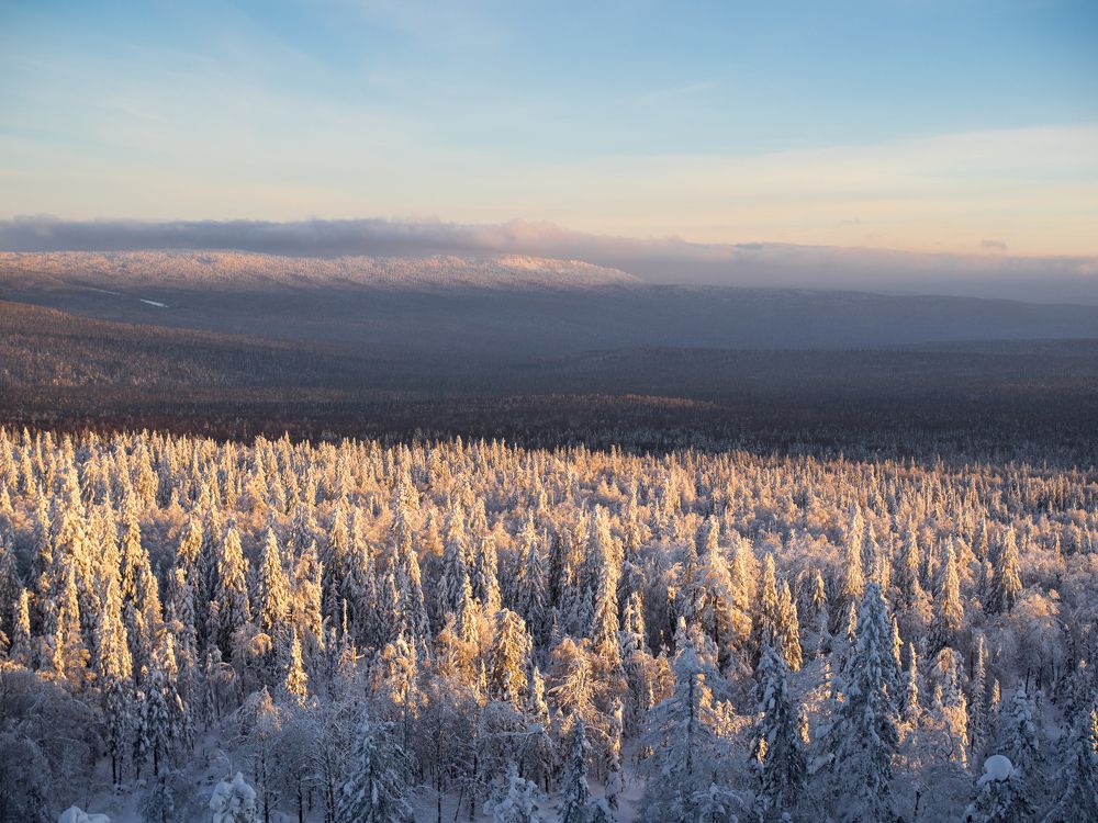 Холодная, но прекрасная...