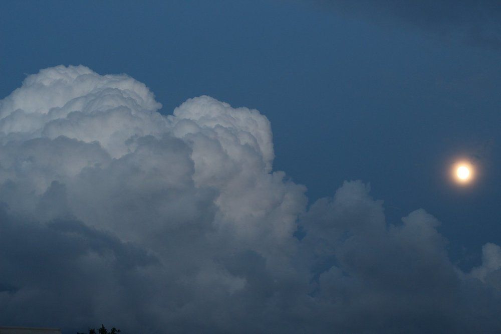 Летняя ночь