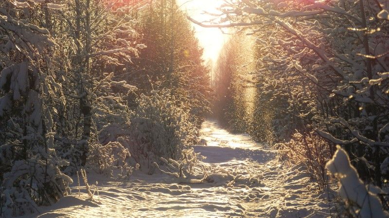 Egor Vadyasov, Russia