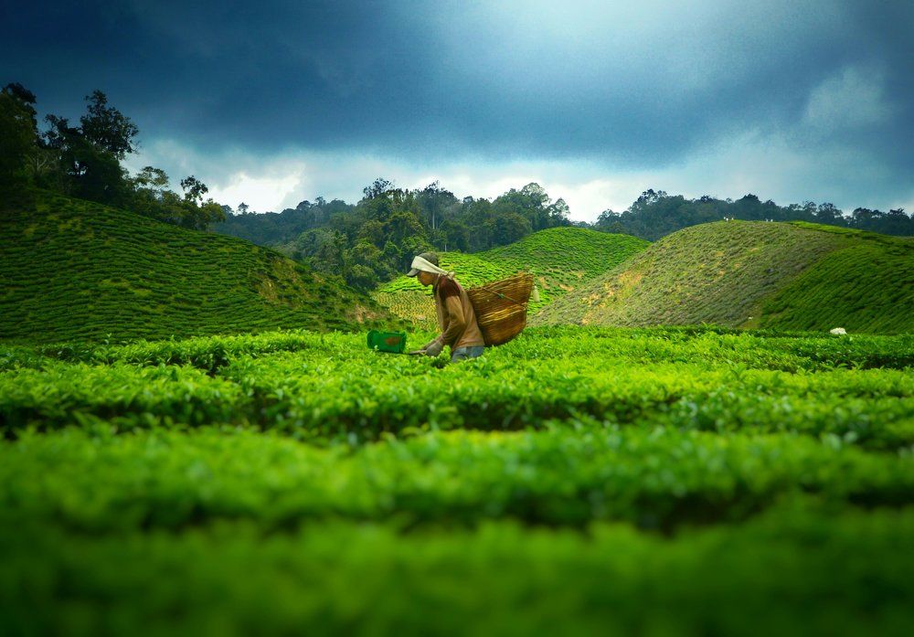 The job is hard in nature