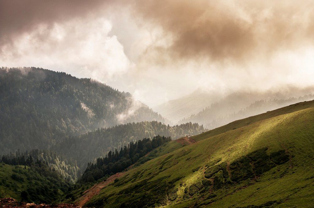 Долина спокойствия